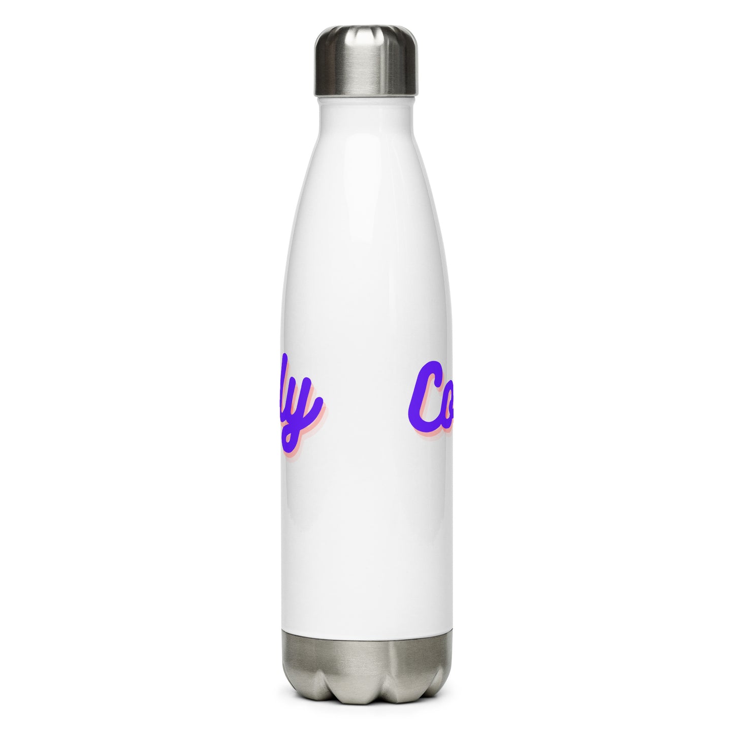 Stainless Steel Water Bottle comfortably numb clothing logo